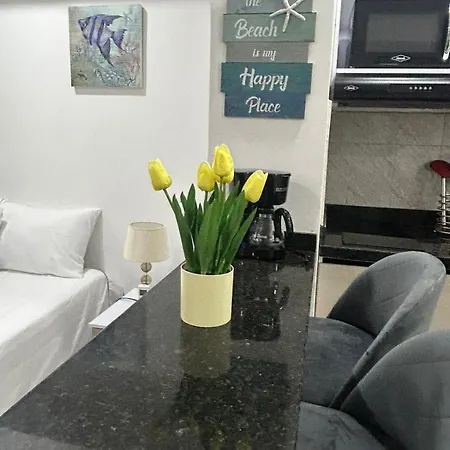 Apartment Pristine, Cozy, Next To With Everything U Need
